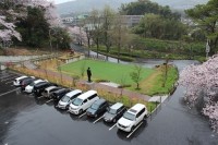 雨が降る中の研修ですが、桜は満開です。