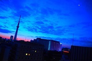 s__373719181