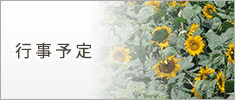 行事予定